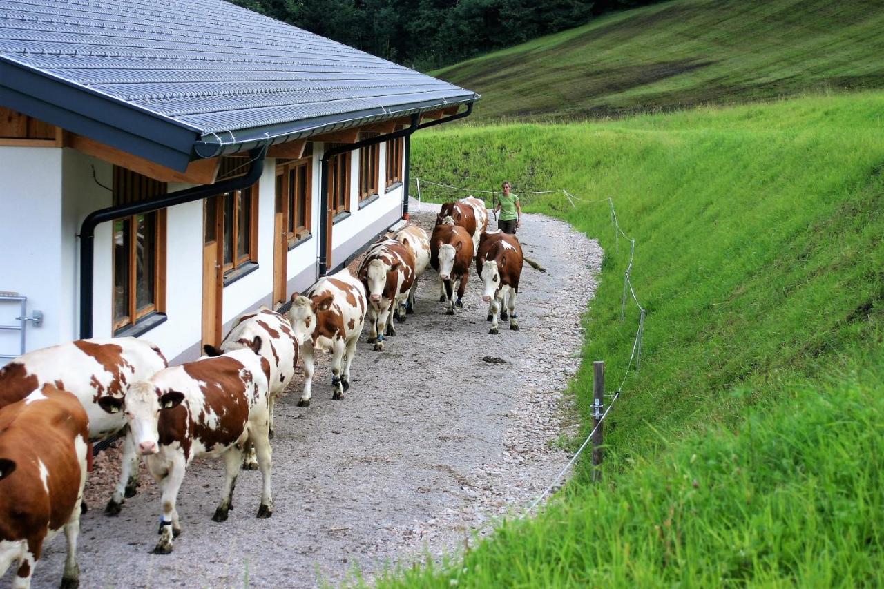 Schartlhof Villa Flachau Exteriör bild
