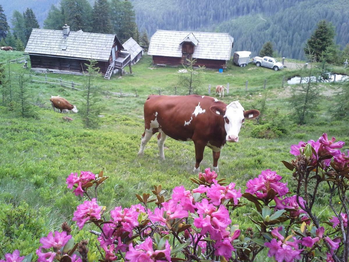 Schartlhof Villa Flachau Exteriör bild